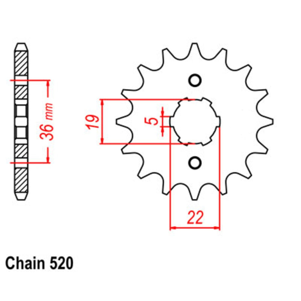13T - Front Sprocket - Honda