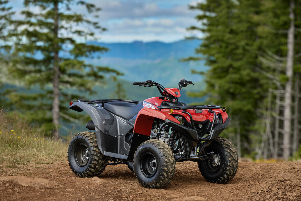 2025 Yamaha Grizzly 110