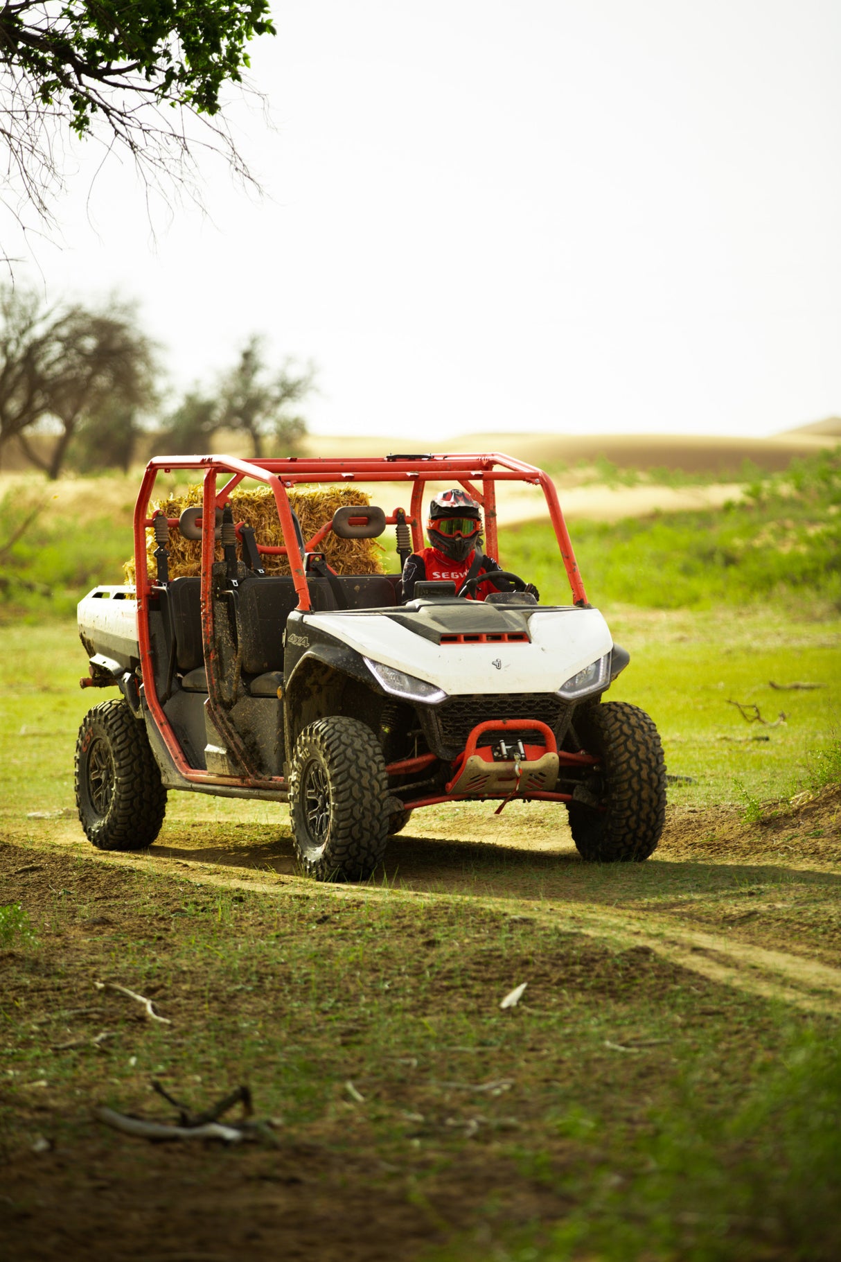 2024 Segway Powersports UT10 Crew EPS Fugleman UTV