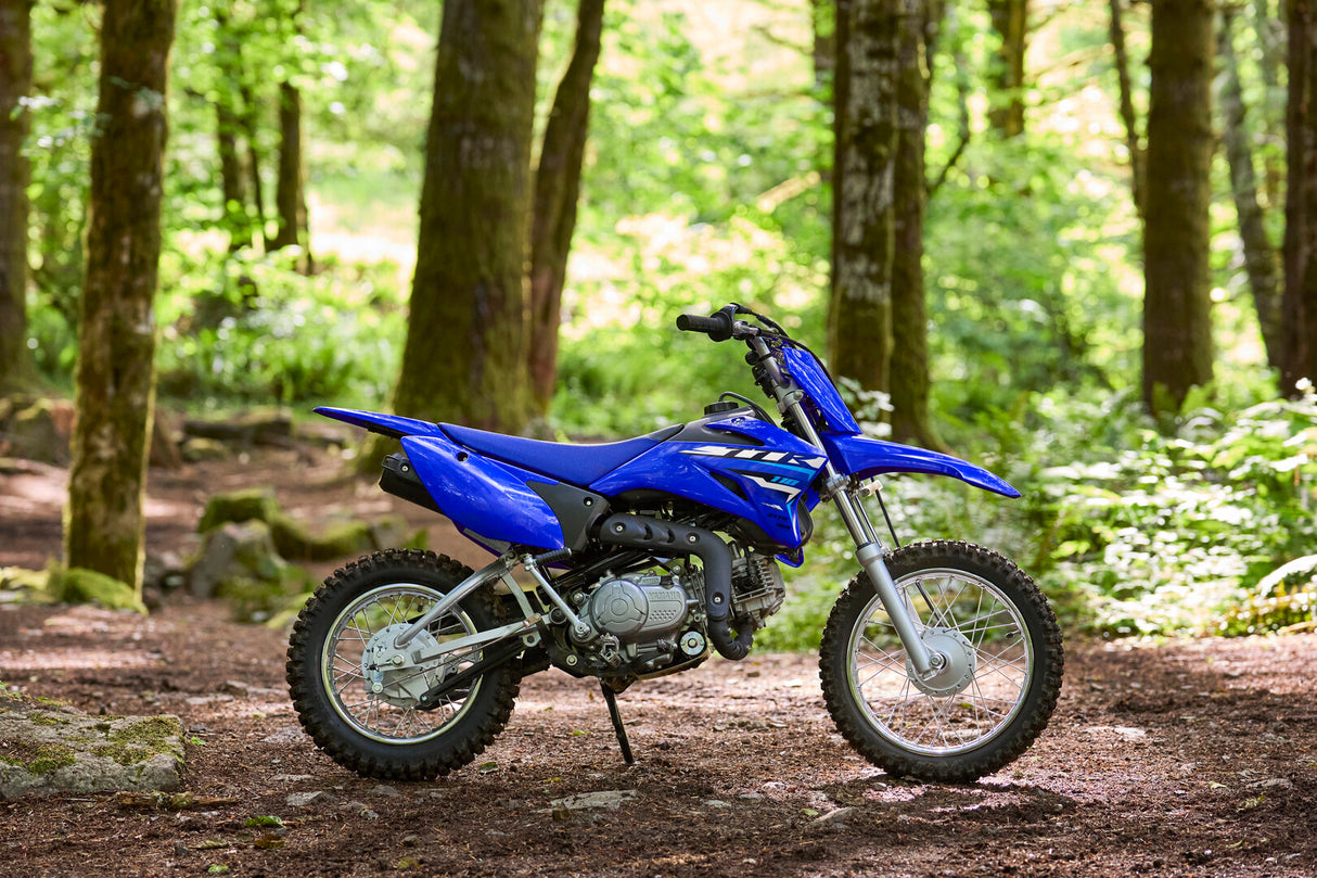 2026 Yamaha TTR110E