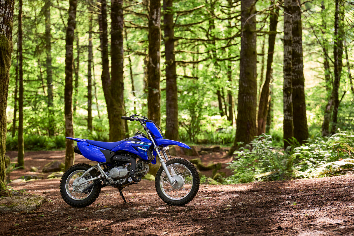 2026 Yamaha TTR110E