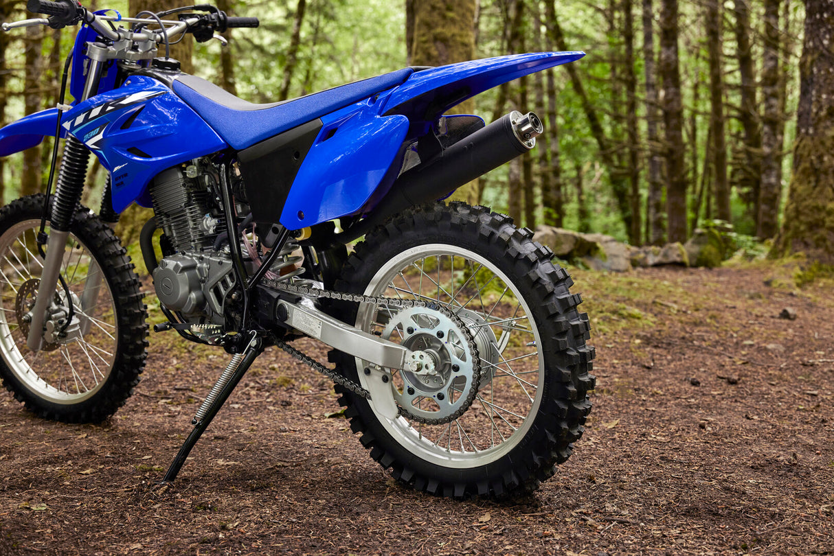 2026 Yamaha TTR230