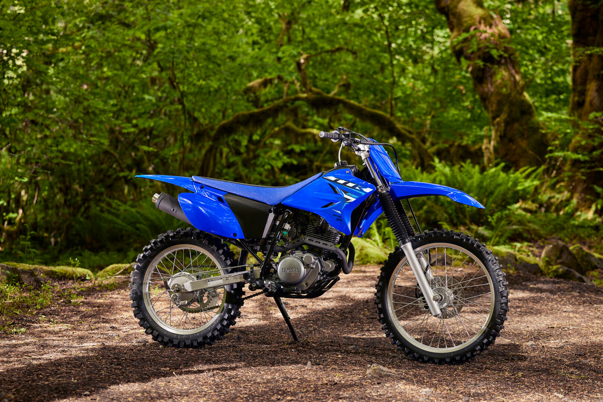 2026 Yamaha TTR230