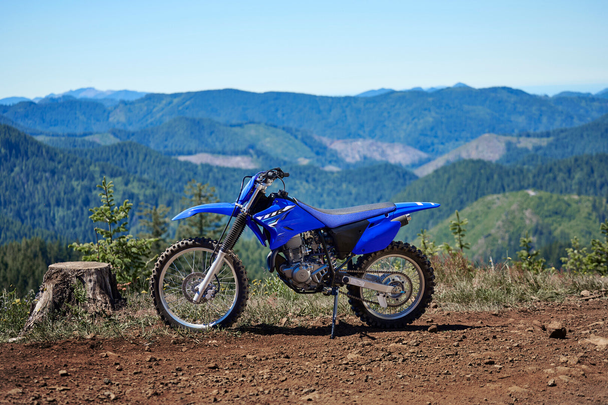 2026 Yamaha TTR230