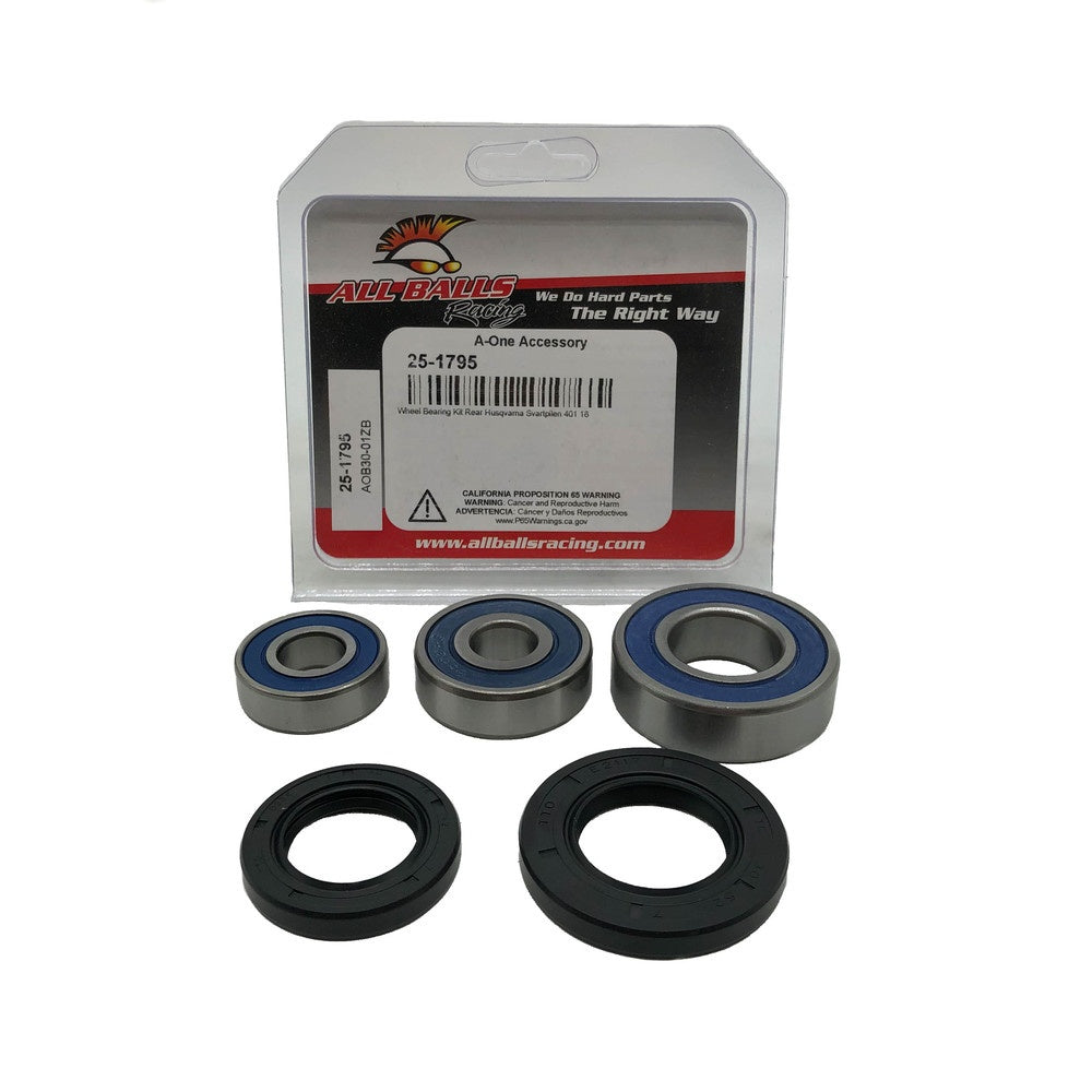 All Balls Wheel Bearing Kit - Rear Husqvarna Svartpilen 401