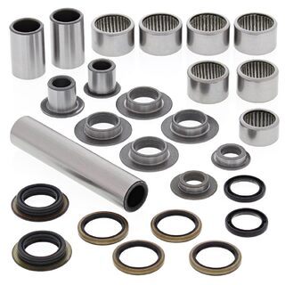 All Balls Seal and Linkage Kit - KFX450R 08-09