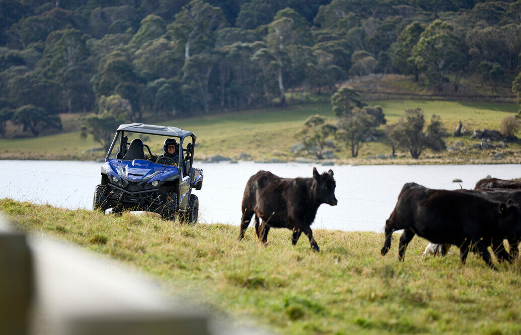Yamaha Wolverine X2 Utility