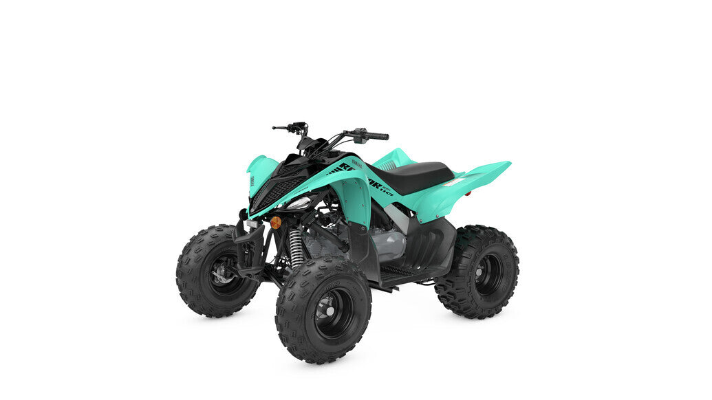 2025 Yamaha Raptor 110 YFM110R