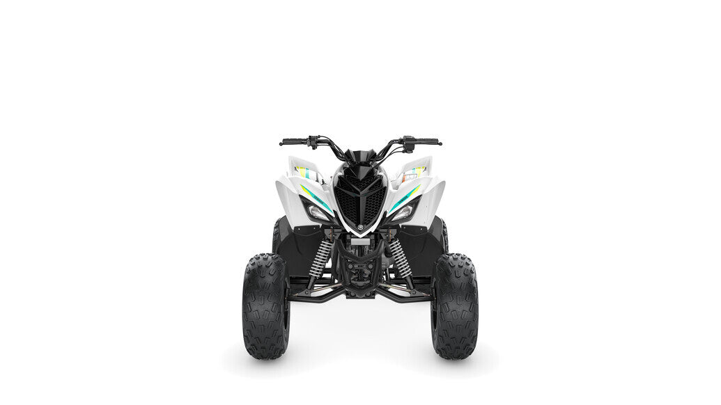 2023 Yamaha Raptor 90 YFM90R