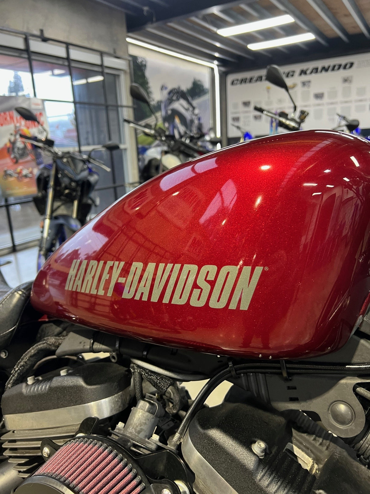 2016 Harley Davidson Roadster XL1200