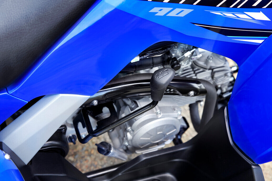 2023 Yamaha Raptor 90 YFM90R