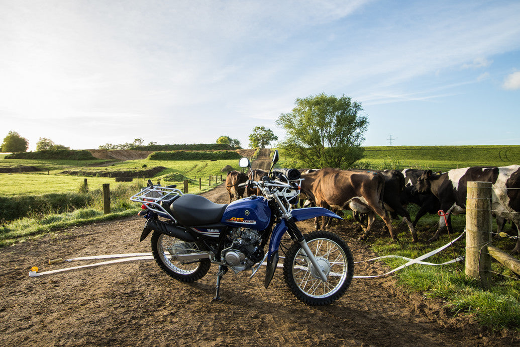 2024 Yamaha AG125