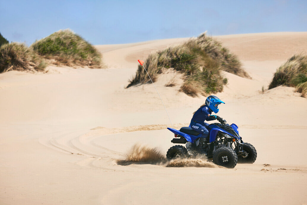 2025 Yamaha Raptor 110 YFM110R