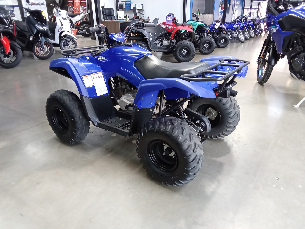 2020 Yamaha Grizzly 90