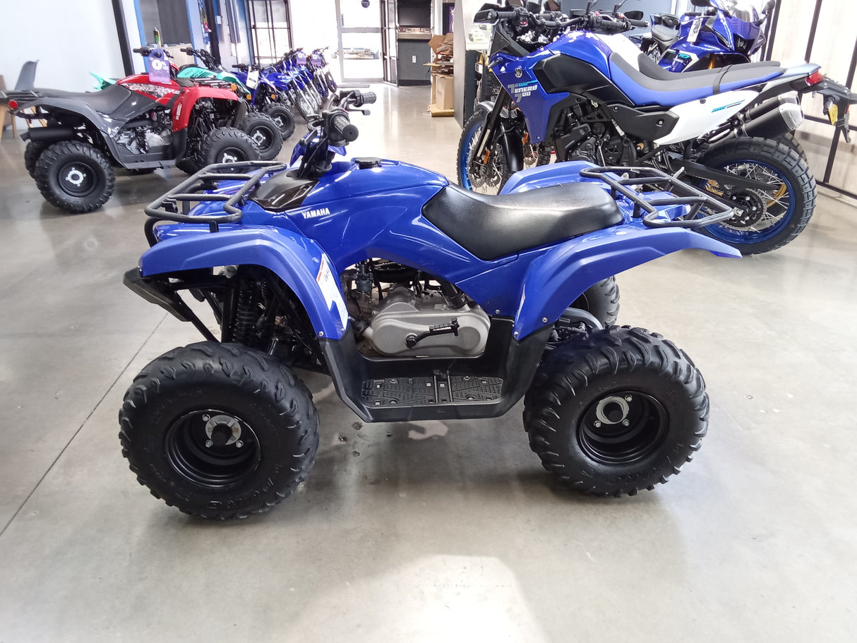 2020 Yamaha Grizzly 90