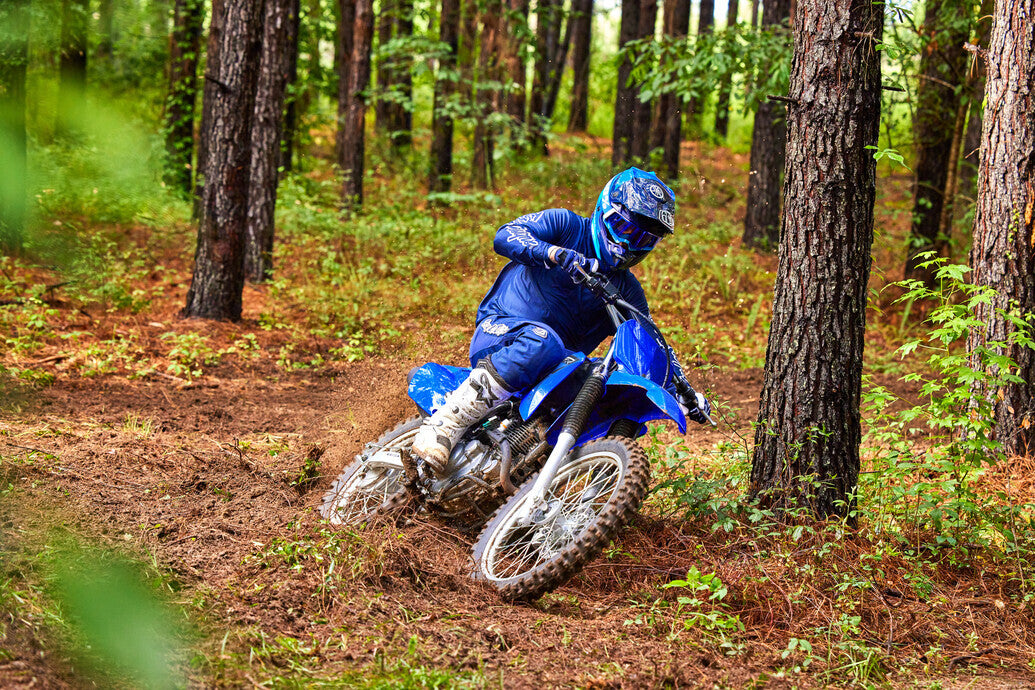 2023 Yamaha TTR230