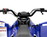 2025 Yamaha Raptor 110 YFM110R