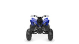 2026 Yamaha Raptor 110 YFM110R