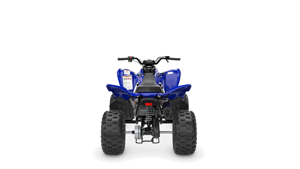 2026 Yamaha Raptor 110 YFM110R