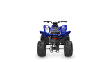 2026 Yamaha Raptor 110 YFM110R