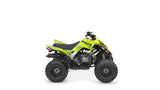 2026 Yamaha Raptor 110 YFM110R