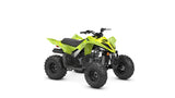 2026 Yamaha Raptor 110 YFM110R