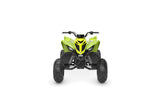 2026 Yamaha Raptor 110 YFM110R