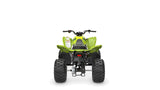 2026 Yamaha Raptor 110 YFM110R