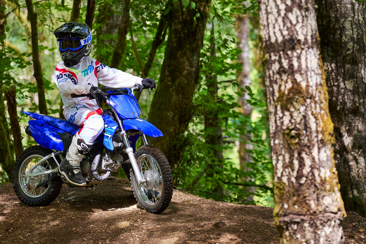 2026 Yamaha TTR110E