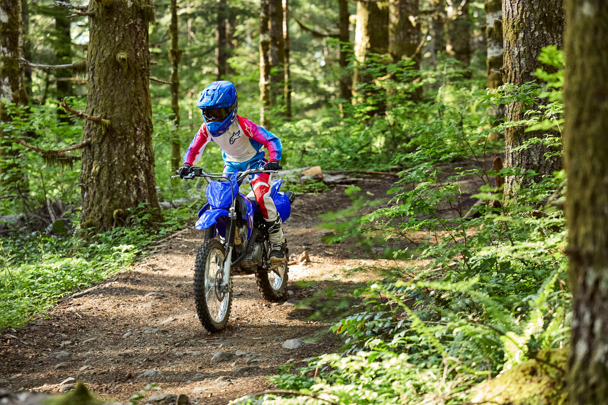 2026 Yamaha TTR125LW