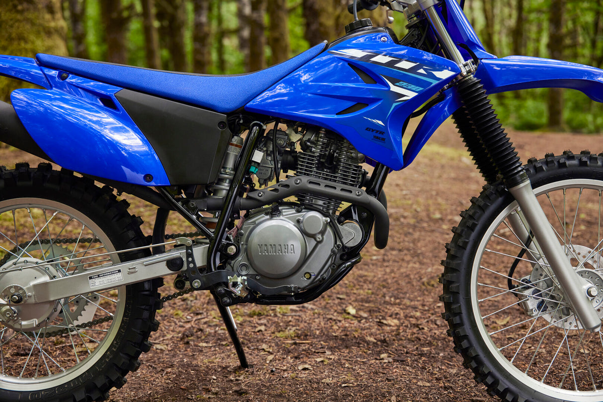 2026 Yamaha TTR230
