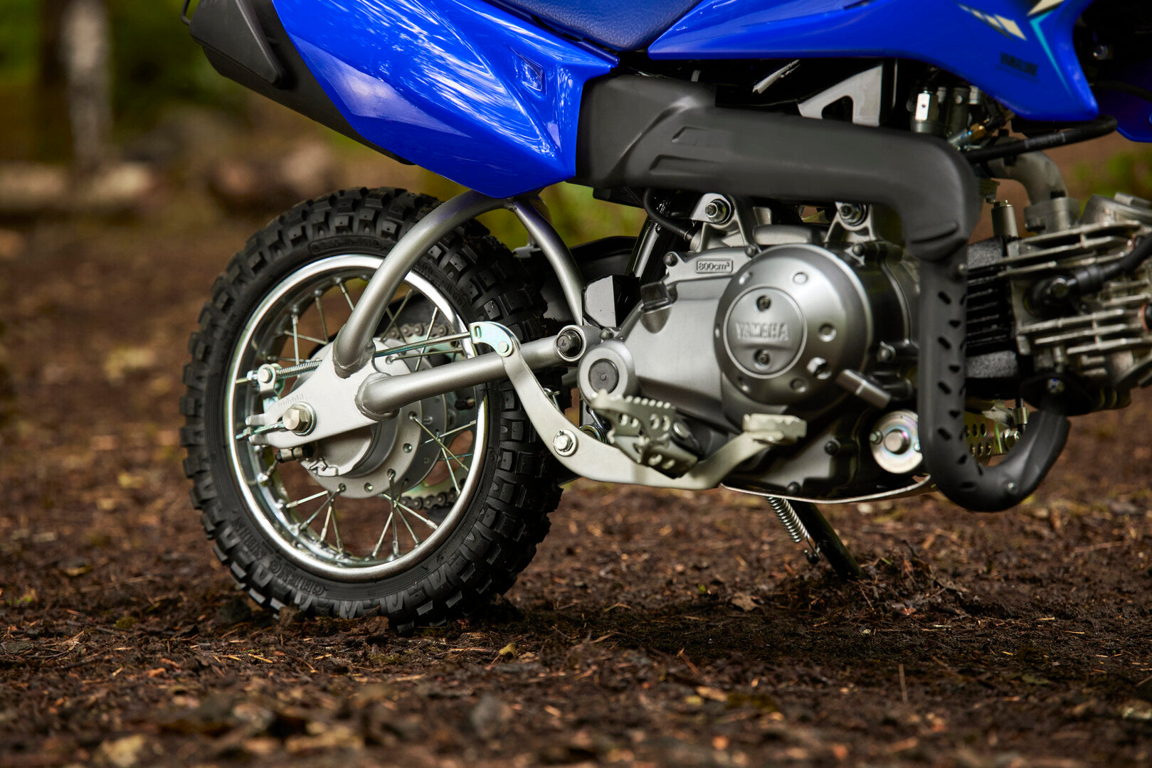 2026 Yamaha TTR50-E – ProRider Powersports