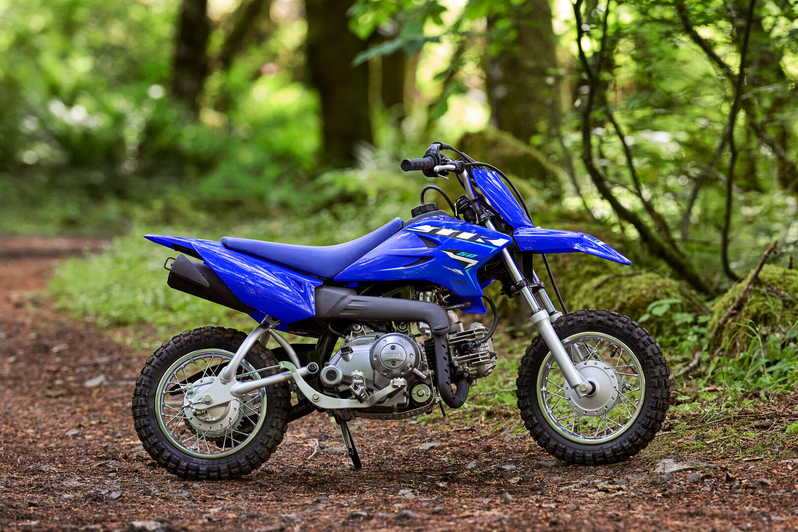 2026 Yamaha TTR50-E – ProRider Powersports