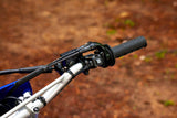 2023 Yamaha TTR230