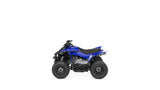 2024 Yamaha Raptor 50 YFZ50