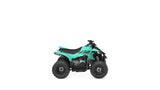2024 Yamaha Raptor 50 YFZ50