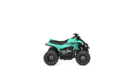 2024 Yamaha Raptor 50 YFZ50