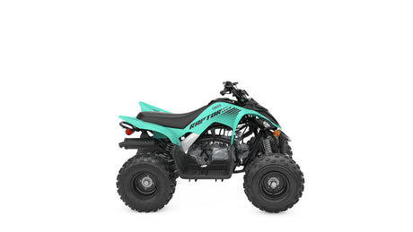 2025 Yamaha Raptor 110 YFM110R