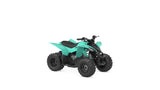 2024 Yamaha Raptor 50 YFZ50