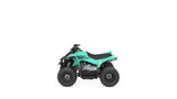 2024 Yamaha Raptor 50 YFZ50