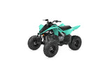 2025 Yamaha Raptor 110 YFM110R