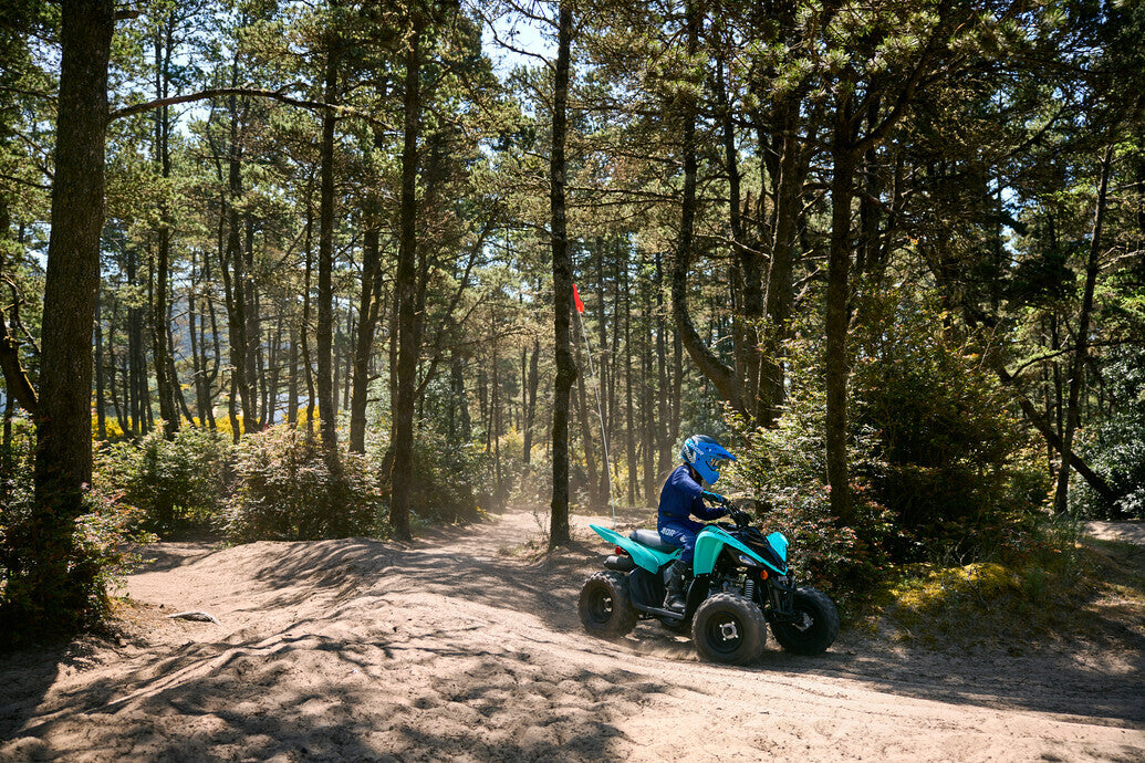 2025 Yamaha Raptor 110 YFM110R