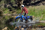 2024 Yamaha AG200F