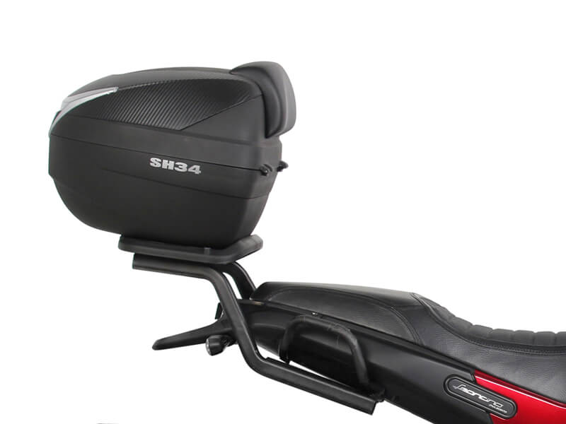 TOP MASTER BENELLI LEONCINO 502