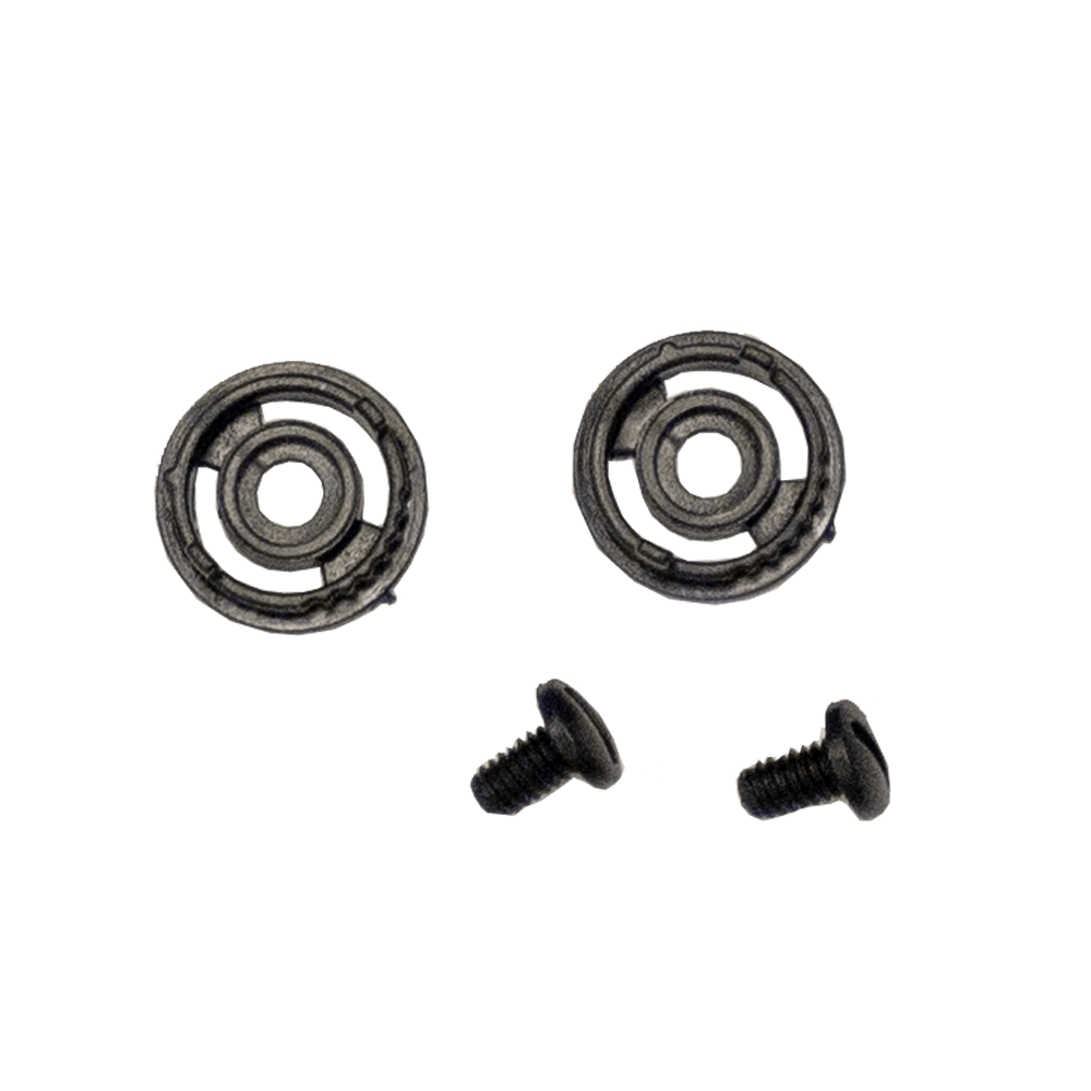 VISOR SCREW SET RXT A-751 'STONE' (Original Style - 2 Pin Washer)