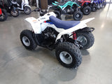 2014 Suzuki LT90 QuadRunner