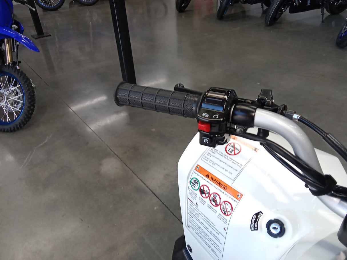 2014 Suzuki LT90 QuadRunner